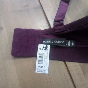 Torrid Curve Purple Bra